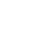 pie chart diagram icon