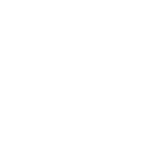 retail store insurance icon